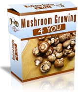 mushroom growing kit