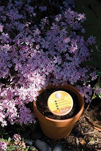 Luster Leaf Digital Soil Test Kit