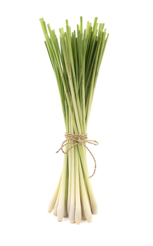 Lemongrass Essential Oil Repellents